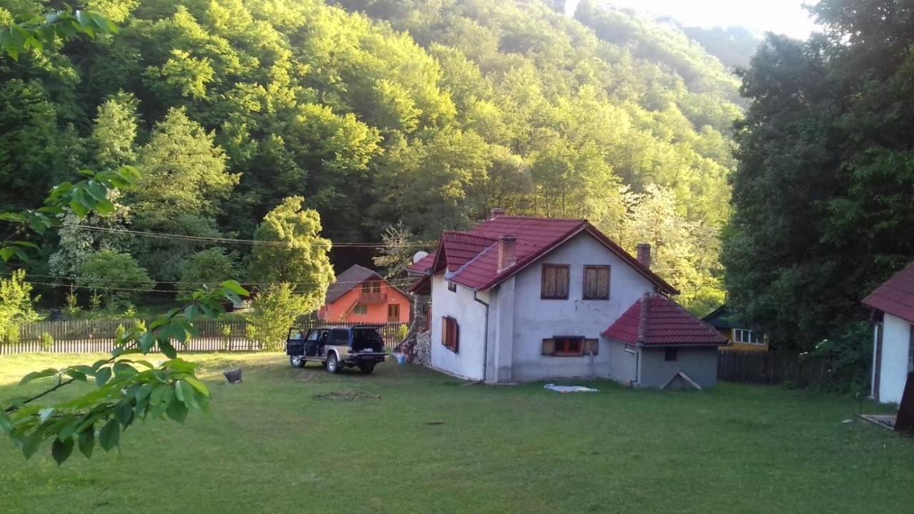 Дома для отпуска Casă de vacanţă Pianu de Sus-4