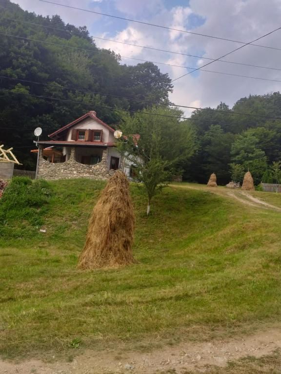 Дома для отпуска Casă de vacanţă Pianu de Sus-25