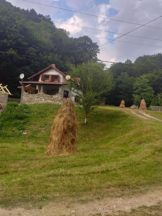 Дома для отпуска Casă de vacanţă Pianu de Sus-9